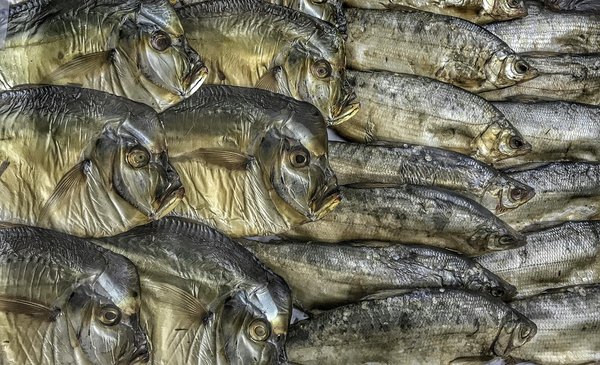 Meilleurs Casinos En Ligne Sans Bonus De Dépôt