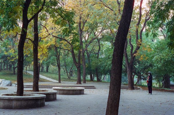 Bonnes Raisons De Jouer Des Machines à Sous En Ligne