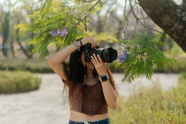 Machines à Sous Dauphin