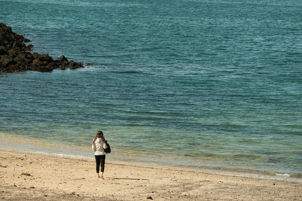 Machines à Sous Libres Avec Des Traînées De Filage Comme Les Jeux Wms