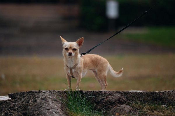 Slots De Jeu Gratuits Bonus