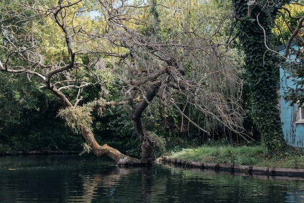 Sites De Casino Bonus