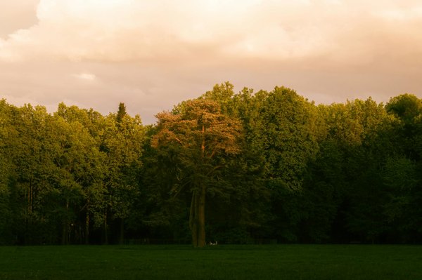 Combien De Numeros Pour Gagner Au Keno