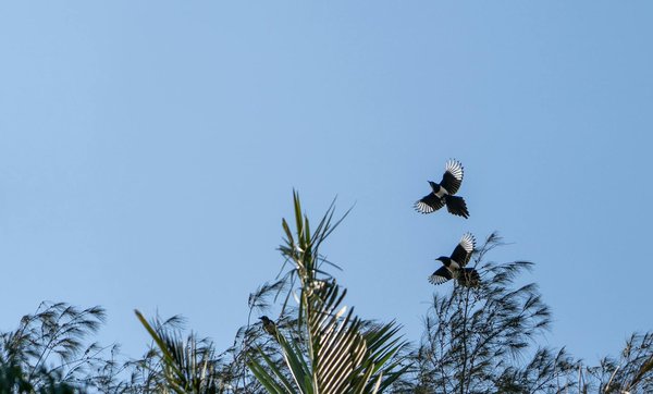 Facile à Utiliser De Vrais Jeux De Casino Pour De L Argent