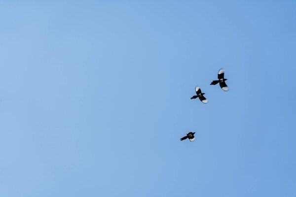 Bets Io Casino No Deposit Bonus