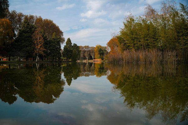 Jeux Slots Machine Gratuits