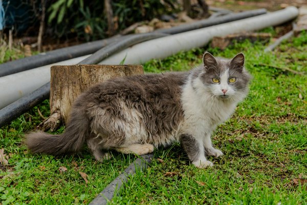 Casinos En Ligne Légitible Et De Confiance Réputés Sûrs