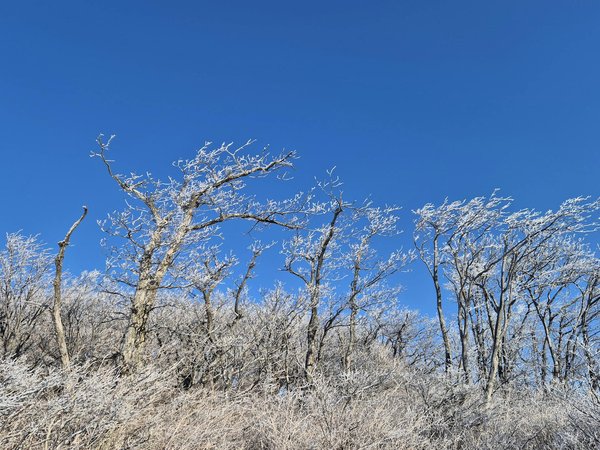 Conseils à La Victoire Sur Les Machines à Sous