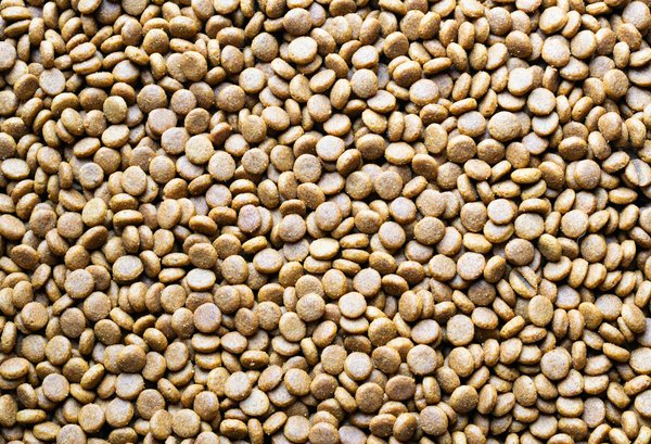 Gagnez Des Machines à Sous Progressives