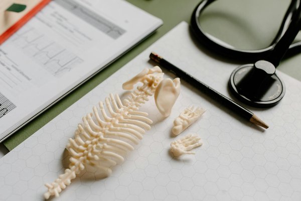 Sites De Casino Sans Dépôt Sans Dépôt