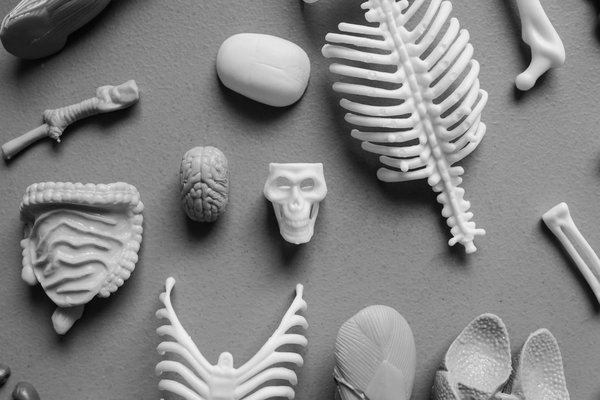 Meilleure Façon De Gagner Sur La Roulette