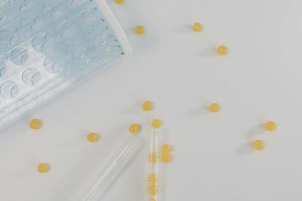 Jeux De Machines à Sous Flash Gratuits