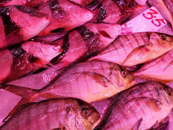 100 Derniers Tirages Keno