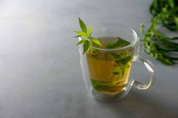 Une recette miracle énergisante et apaisante à base de plante naturelle